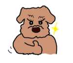 16.png