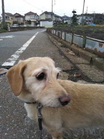 20190623180017146.jpg