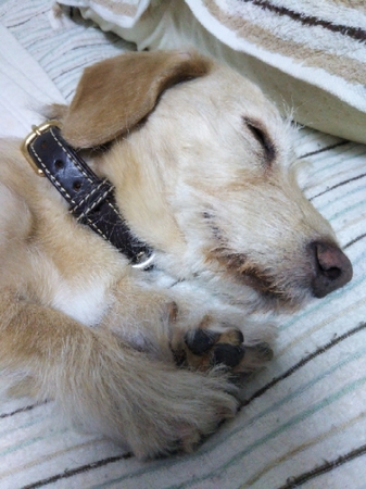 20190715171751573.jpg