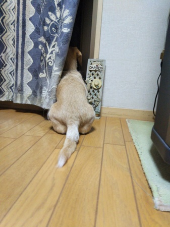 IMG_20190503_205135.jpg